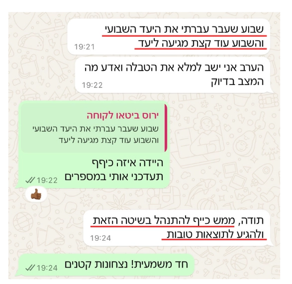 המלצה 2
